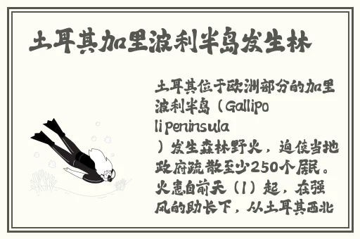 成品人B站APP